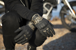 BACK BESSIE LEOPARD 2